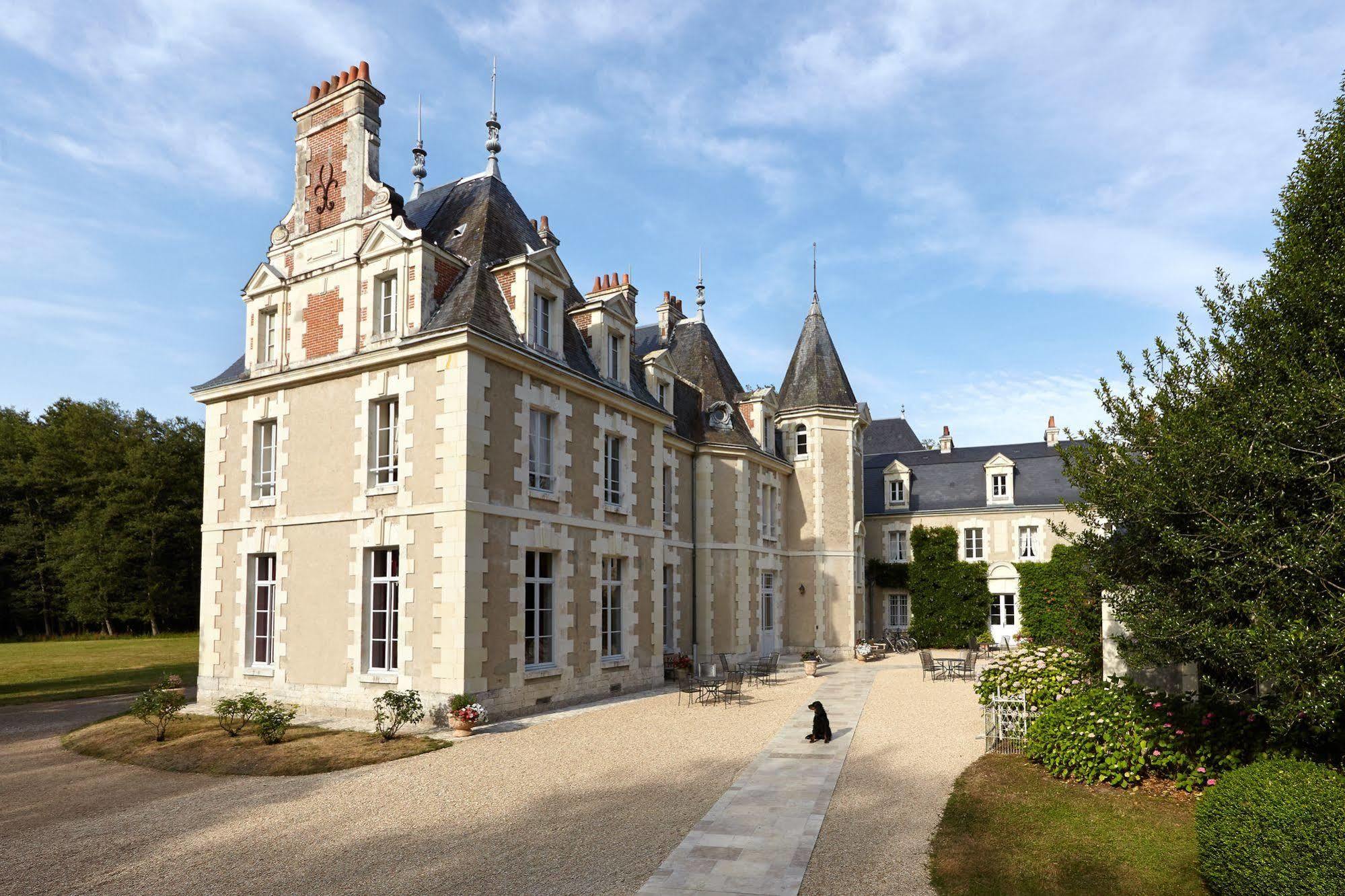 Chateau Du Breuil Cheverny Exterior foto